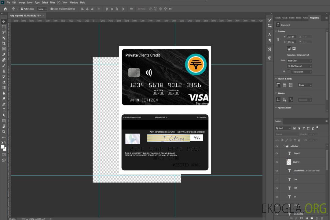 Signature de visa de crédit pour clients privés de la First National Bank de Namibie template